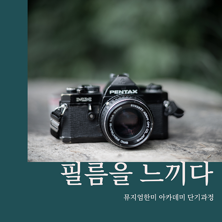 필름을 느끼다