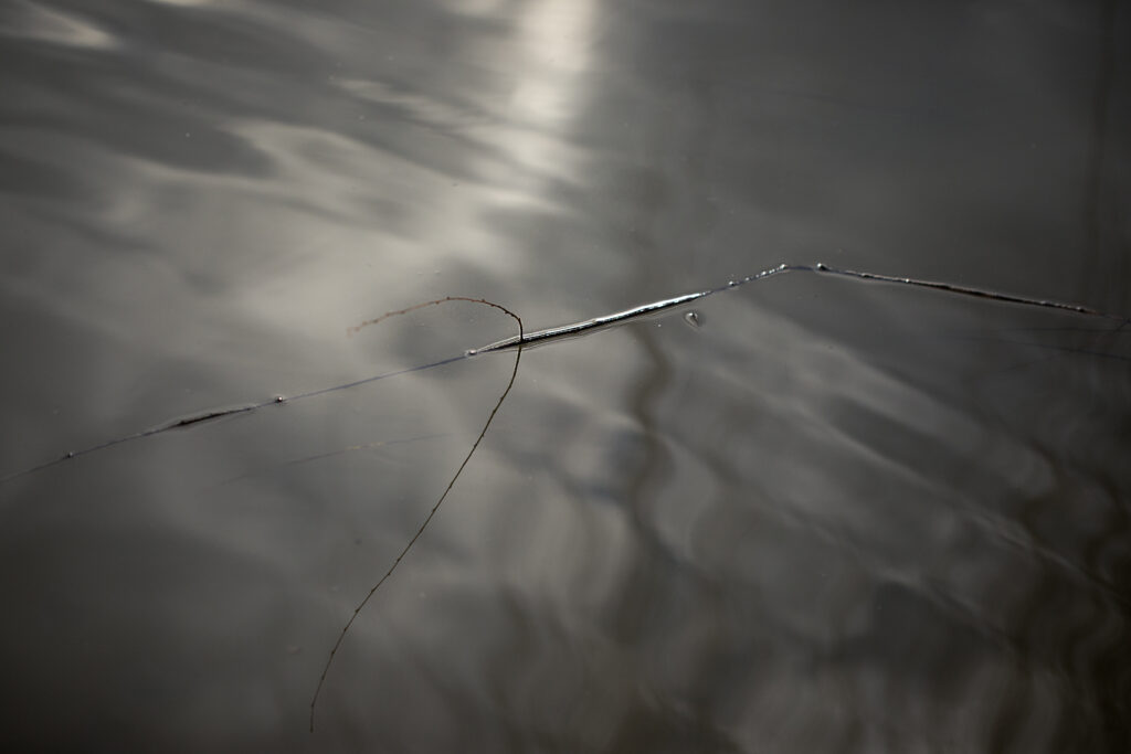 윤용남 〈그들만의 작은 세상〉, 2025, Inkjet print, 40x60cm